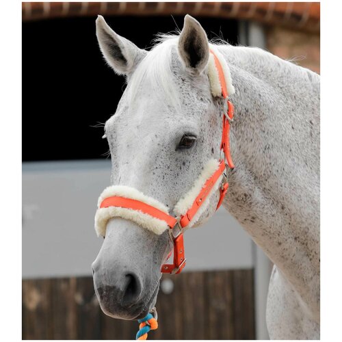 фото Уздечка для лошади оранжевая с мехом premier equine нет бренда