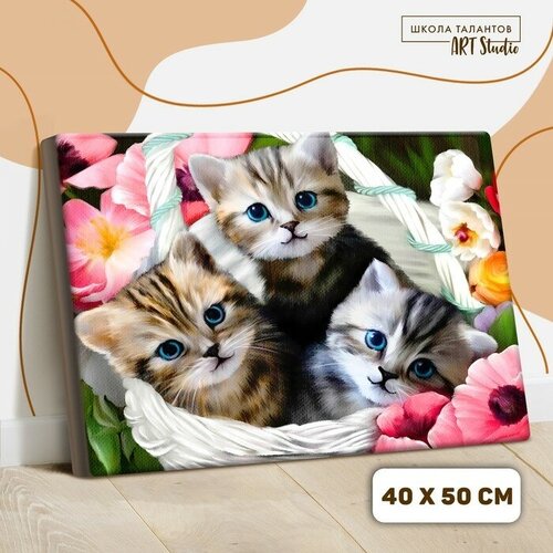 Картина по номерам на холсте с подрамником Котята 40 x 50 см картина по номерам на холсте котята в корзинке 30x40 см ex5283