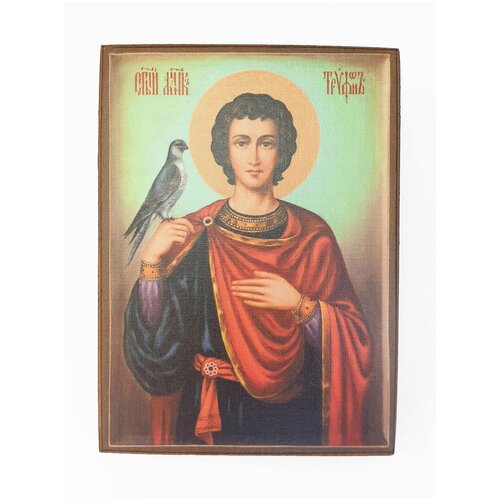 Икона Святой Трифон, размер иконы - 15x18 икона святой трифон размер 15x18