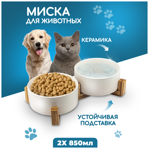 Миска для кошек и собак Solmax, двойная, белая миска для кошек и собак 300 мл х 2 на деревянной подставке бежевая кормушка на деревянной подставке миска для животных