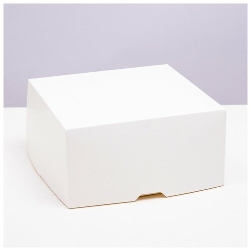 Коробка под бенто-торт, белая, 20,5 х 20,5 х 10 см (5 шт)