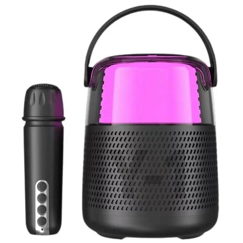 Портативная колонка Y-1, поддерживает Bluetooth 5.0, Hi-Fi качество звука, беспроводной микрофон, караоке черная