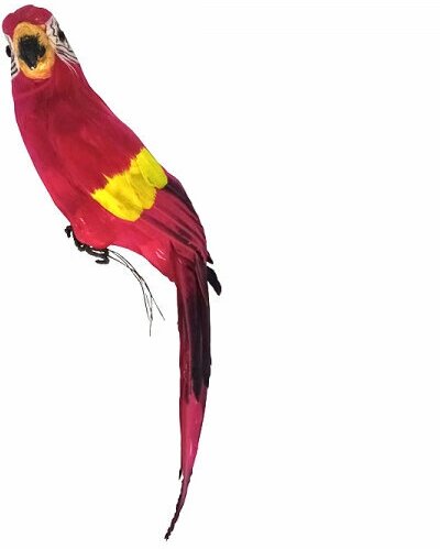 Попугай перьевой "Пират" большой пиратский на плечо, цвет красный, размер 45 см. Пиратская вечеринка.