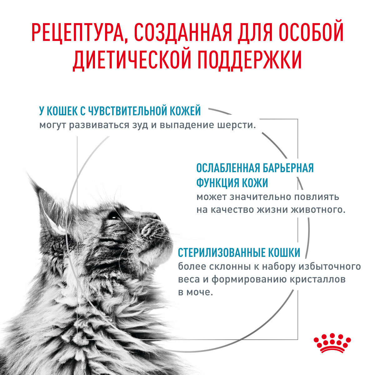 Корм для кошек для поддержания защитных функций кожи Royal Canin Skin & Coat (Скин Энд Коат), сухой диетический, 0,4 кг