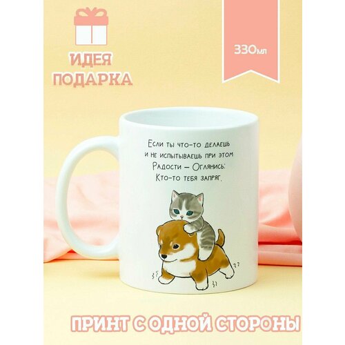 Кружка котик Запряг 490₽