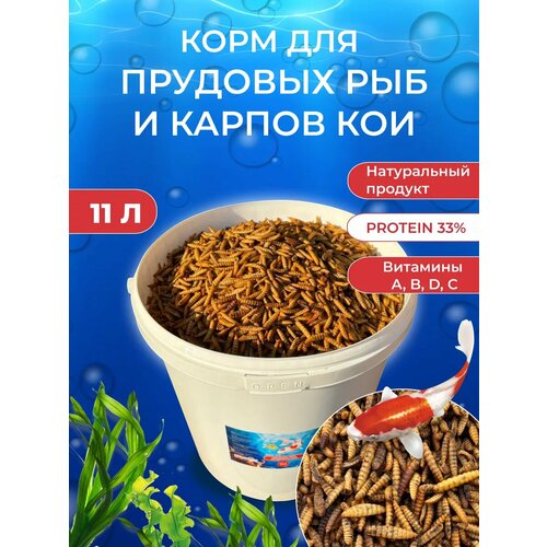 Черная львинка Корм для рыб прудовых и карпов кои 11л