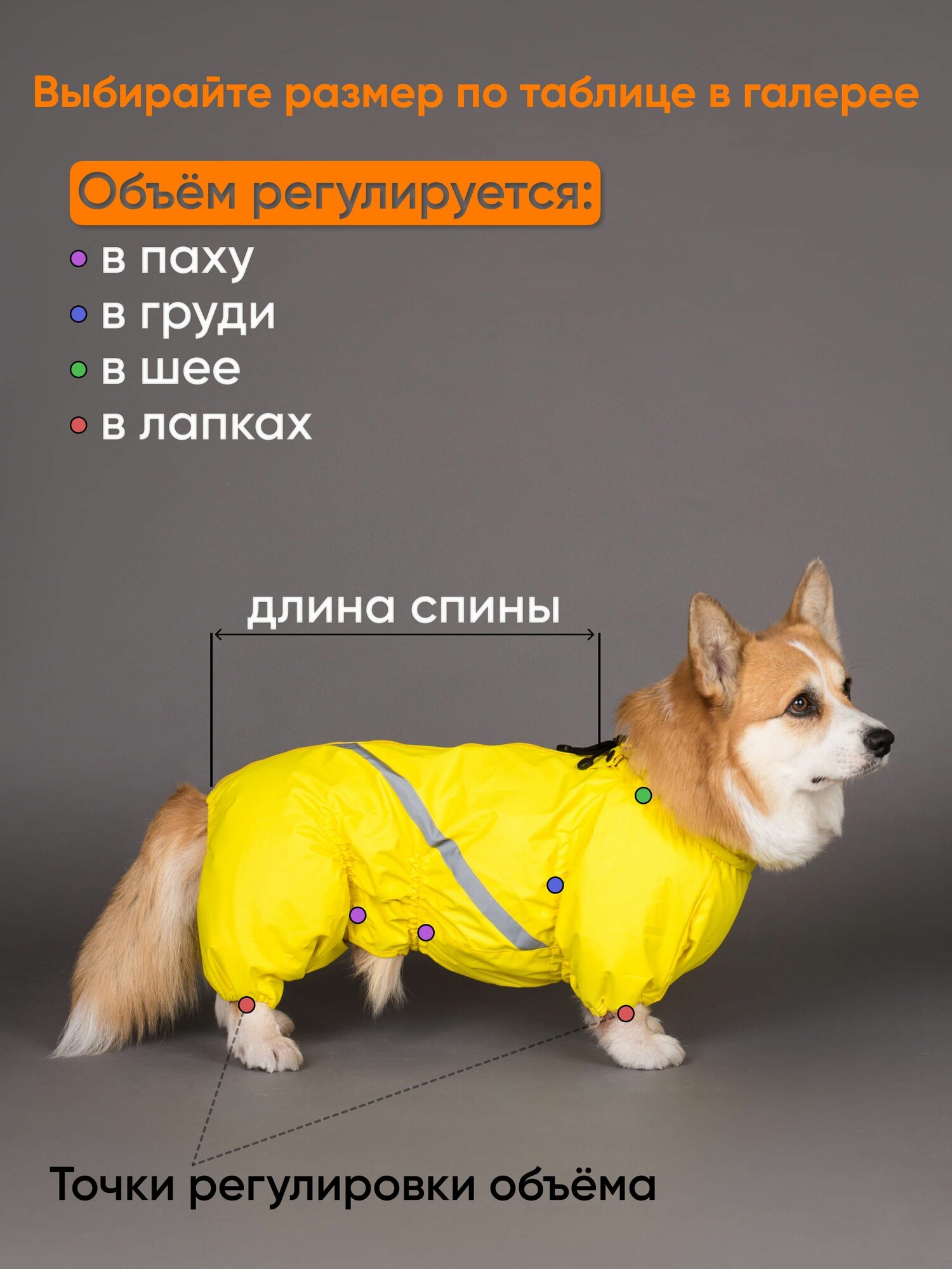 Водоотталкивающий комбинезон DiploDog для Корги (Пол: мальчик), Одежда для Корги (Пол: мальчик) — фото 1