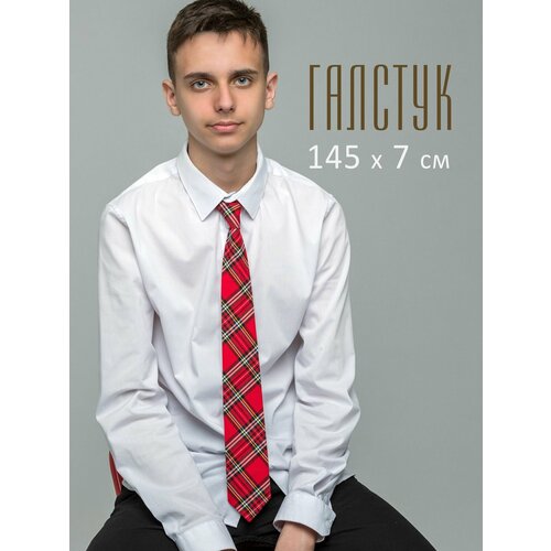 Галстук Bertoldi, красный/черный/белый