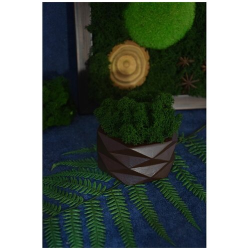 Шоколадный