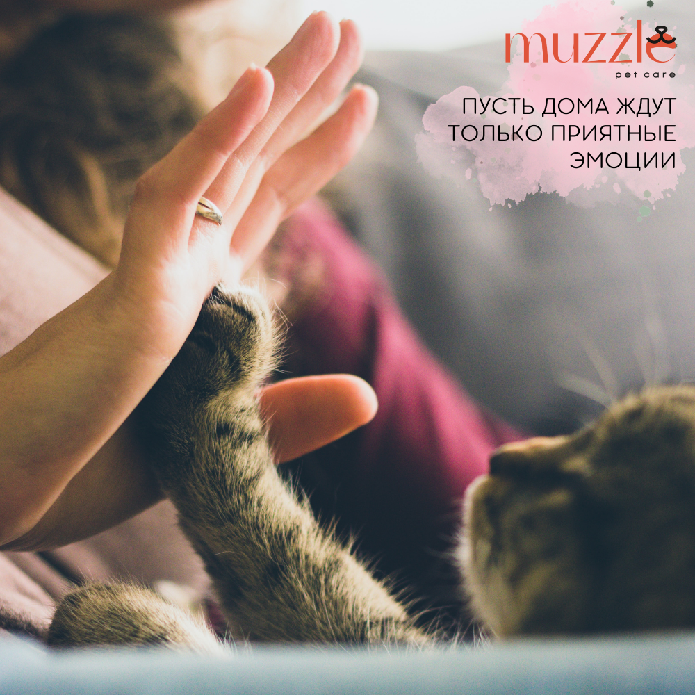 Когтеточка для кошек и лежанка Muzzle 2 в 1 из гофрокартона напольная, 54х14x22 см - фотография № 9