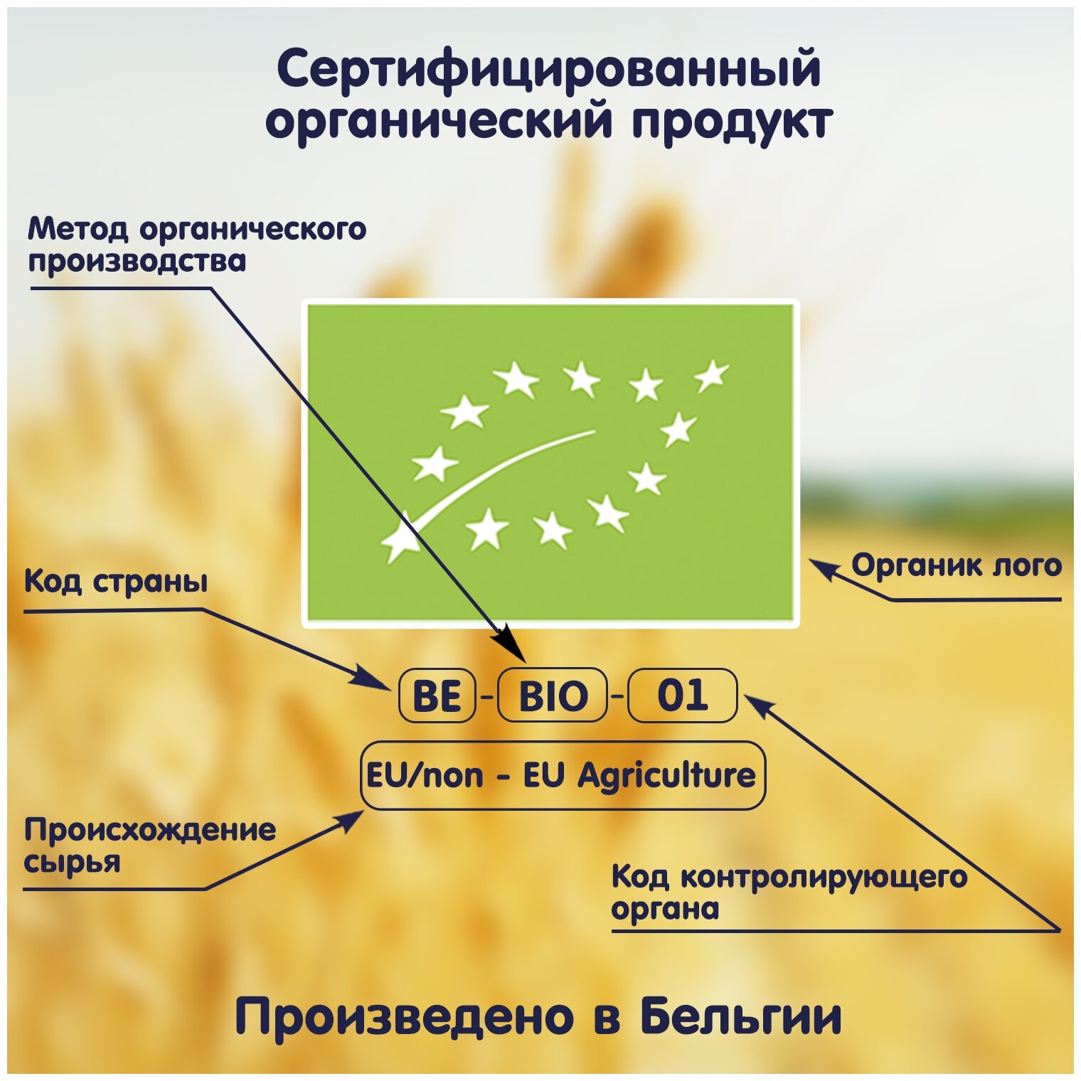 Печенье детское Fleur Alpine "Organic. Яблочно-апельсиновый мармелад", 150гр - фото №8