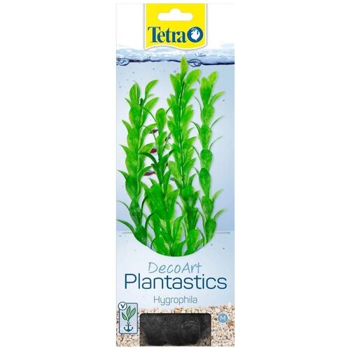 Tetra растение для аквариума Hygrophila M, с утяжелителем, 23 см