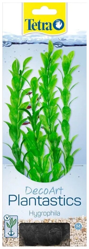 Tetra растение для аквариума Hygrophila M, с утяжелителем, 23 см