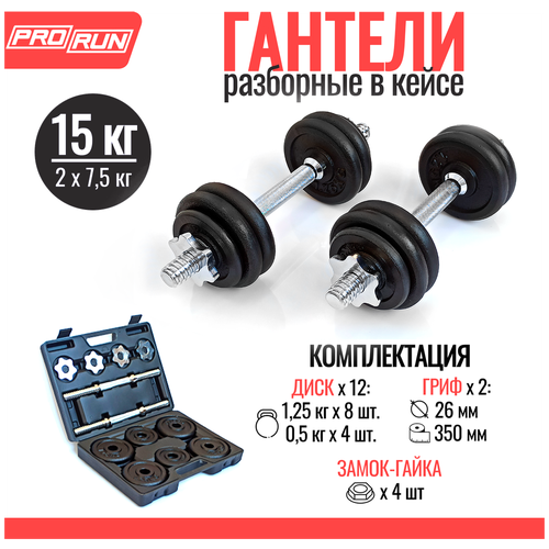 Набор чугунных гантелей ProRun 15 кг в кейсе набор гантелей unix fit в кейсе 15 кг