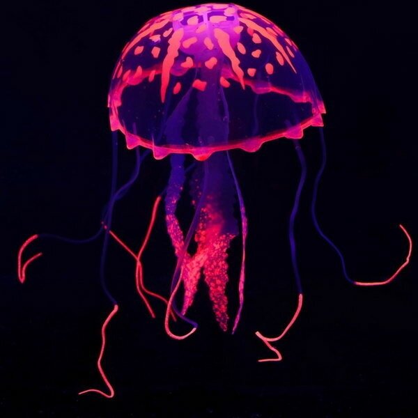 Декор для аквариума"Медуза" силиконовая, с неоновым эффектом, 10 х 10 х 20,5 см, розовая 7108871 . - фотография № 8