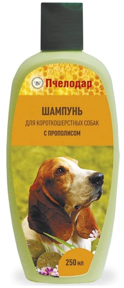 Pchelodar Шампунь для короткошерстных собак с маточным молоком - фотография № 2