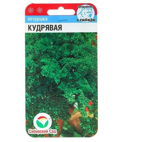 Семена Петрушка Кудрявая, 1 г в комлпекте 7, упаковок(-ка/ки)