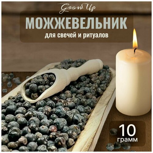 Сухие плоды Можжевельник (ягода) для свечей и ритуалов, 10 гр
