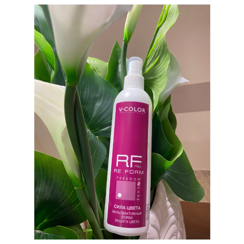 V-COLOR V-COLOR Cпрей сила цвета мультиактивный, 250мл