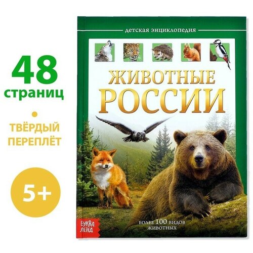 Детская энциклопедия в твёрдом переплёте «Животные России», 48 стр. 10 шт набор детская книга энциклопедия животных