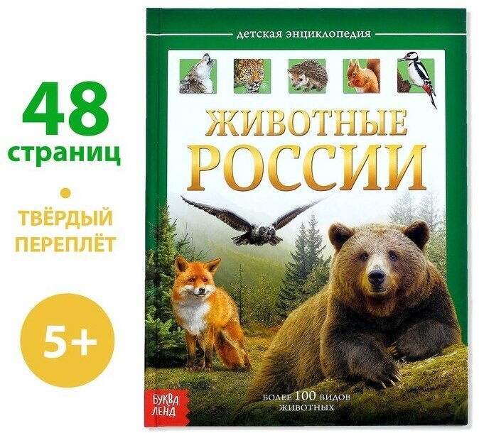 Детская энциклопедия в твeрдом переплeте Животные России, 48 стр