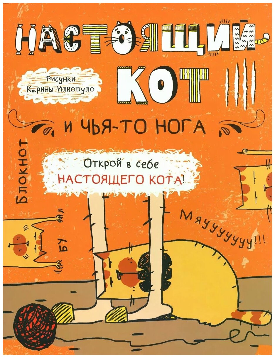 Блокнот. Настоящий кот и чья-то нога - фото №1