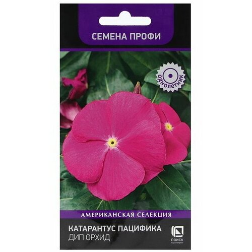 Семена цветов Катарантус Пацифика Дип Орхид 10 шт