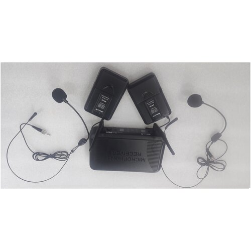 Don Music DM-252PT-25 Беспроводная радиосистема с двумя головными гарнитурами 1520000₽