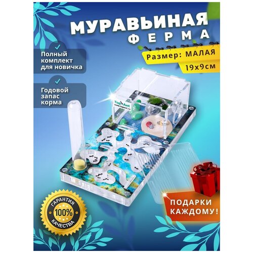 Малая муравьиная ферма максимальный комплект