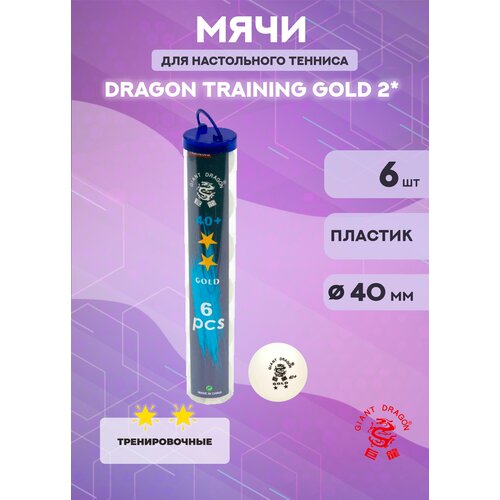 Мячи для настольного тенниса Dragon Training Gold 2* (6 шт, белые) в тубусе
