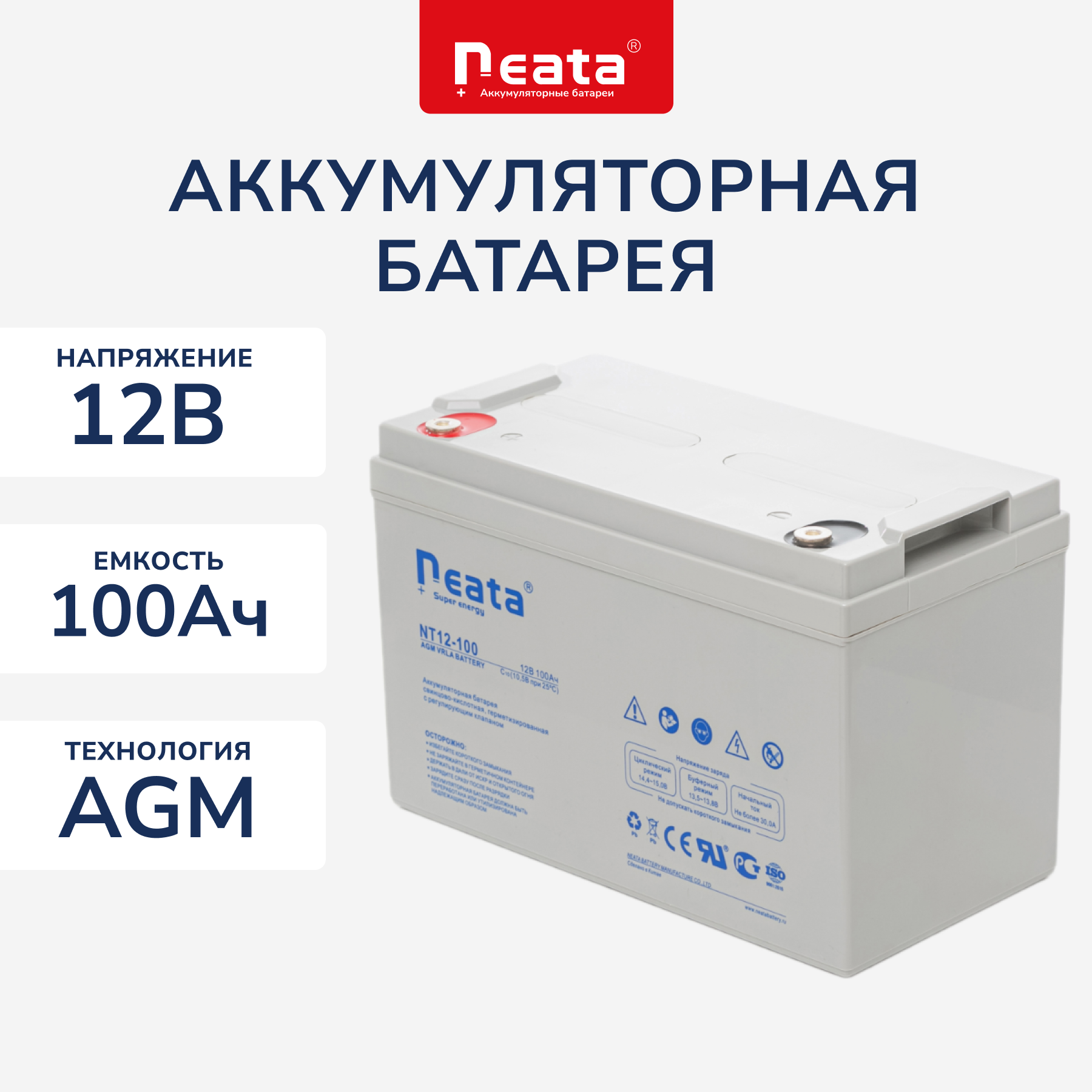 Аккумулятор Neata NT 12-100