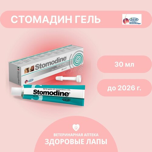 Стомодин - Стомадин гель (Stomodine gel) 30 мл