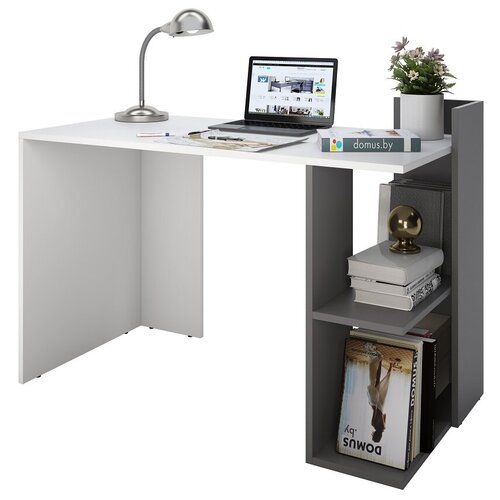 Domus письменный стол СП017, ШхГхВ: 120х60х75 см, цвет: белый/серый