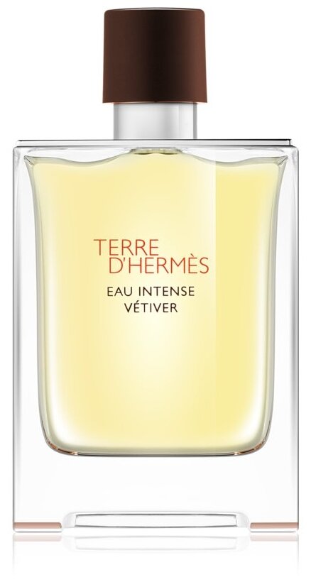 Парфюмерная вода мужская Hermes Terre D'Hermes Eau Intense Vetiver 100 мл Гермес мужские ароматы для мужчин парфюм