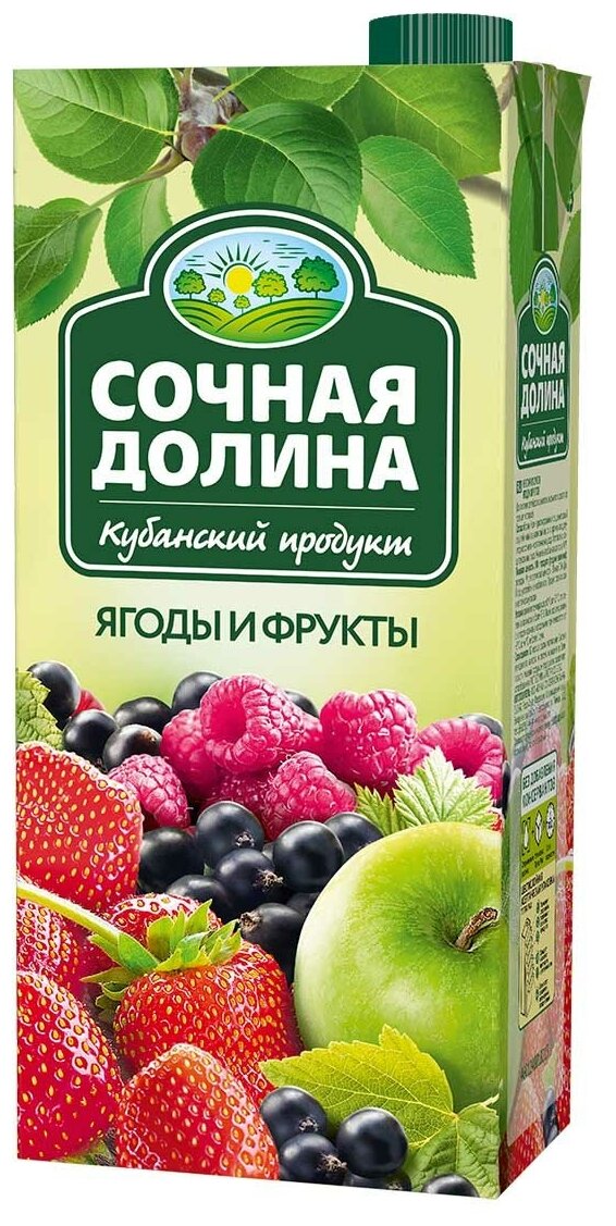 Напиток сокосодержащий  Сочная Долина Ягоды и Фрукты, 0.95 л — фото 1
