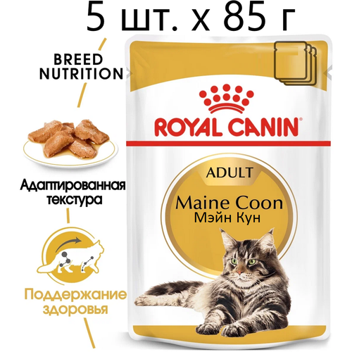 Влажный корм для кошек Royal Canin Maine Coon Adult, для взрослых кошек породы мейн-кун, 5 шт. х 85 г (кусочки в соусе) влажный корм для взрослых кошек royal canin мейн кун для здоровья кожи и блеска шерсти мясное ассорти 10 шт х 85 г кусочки в соусе