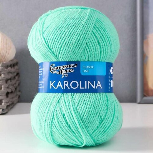 Пряжа Семеновская Karolina, 100%акрил, 438м, 100г