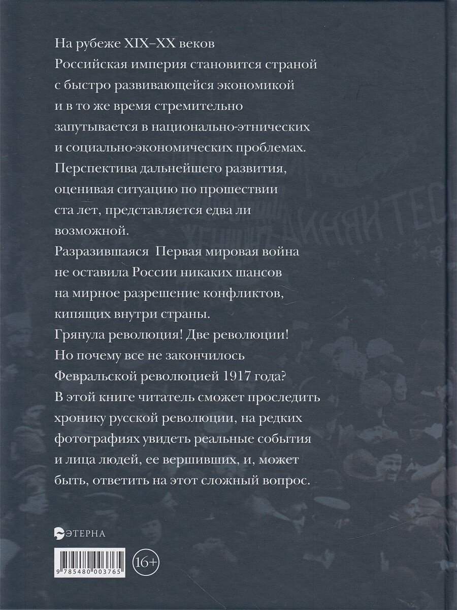 Документальная хроника русской революции - фото №9