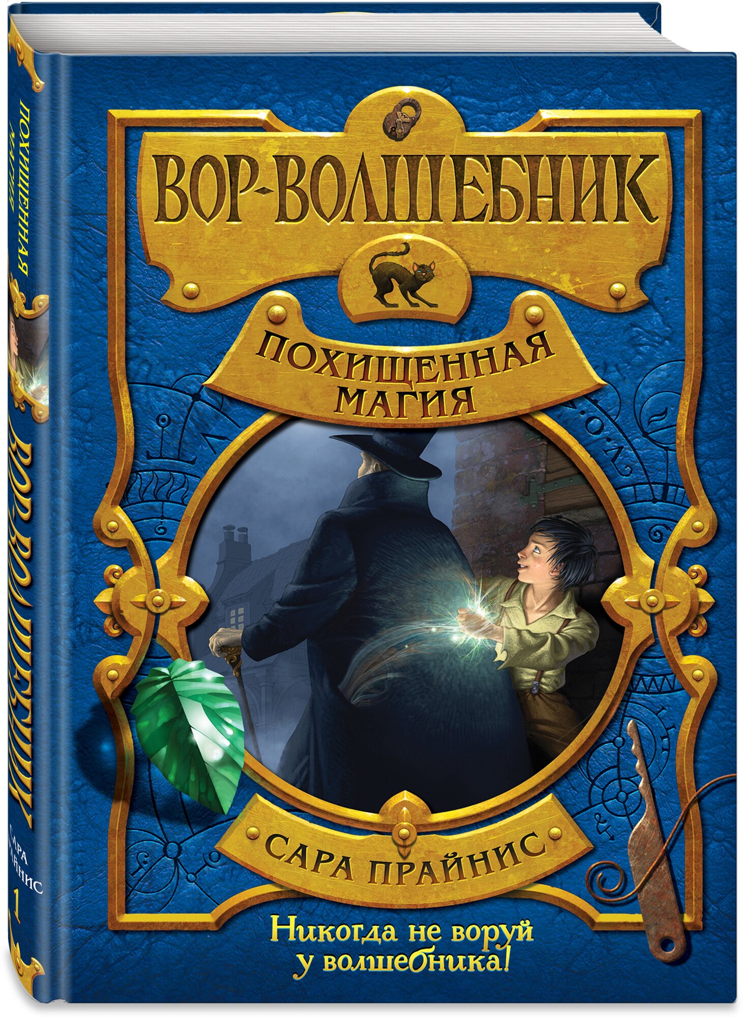 Прайнис С. "Вор-волшебник. Похищенная магия"