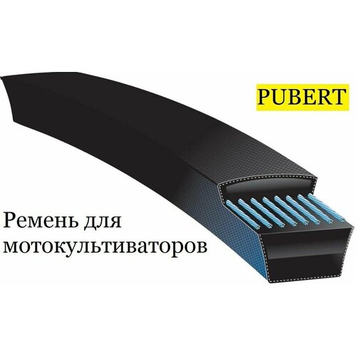 Ремень приводной для мотоблоков и культиваторов PUBERT 13567a/0306030002