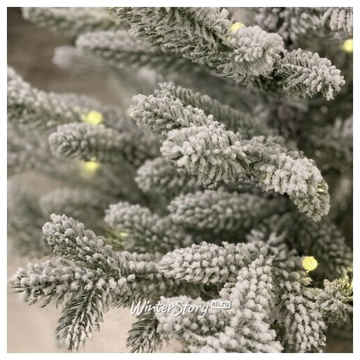 National Tree Company Настольная елка Кембридж со светодиодами заснеженная в мешочке 75 см, 35 теплых белых LED ламп на батарейках, литая 100% 31SCAM25BL