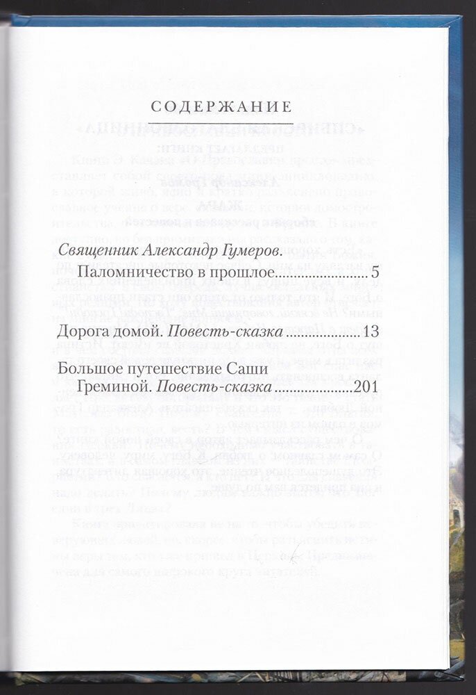 Дорога домой (Сергеева Валентина Сергеевна) - фото №11