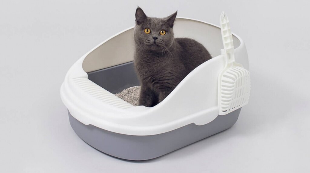 Наполнитель для кошачьего туалета комкающийся цеолитовый впитывающий 3кг мелкий (1-3мм) - фотография № 3