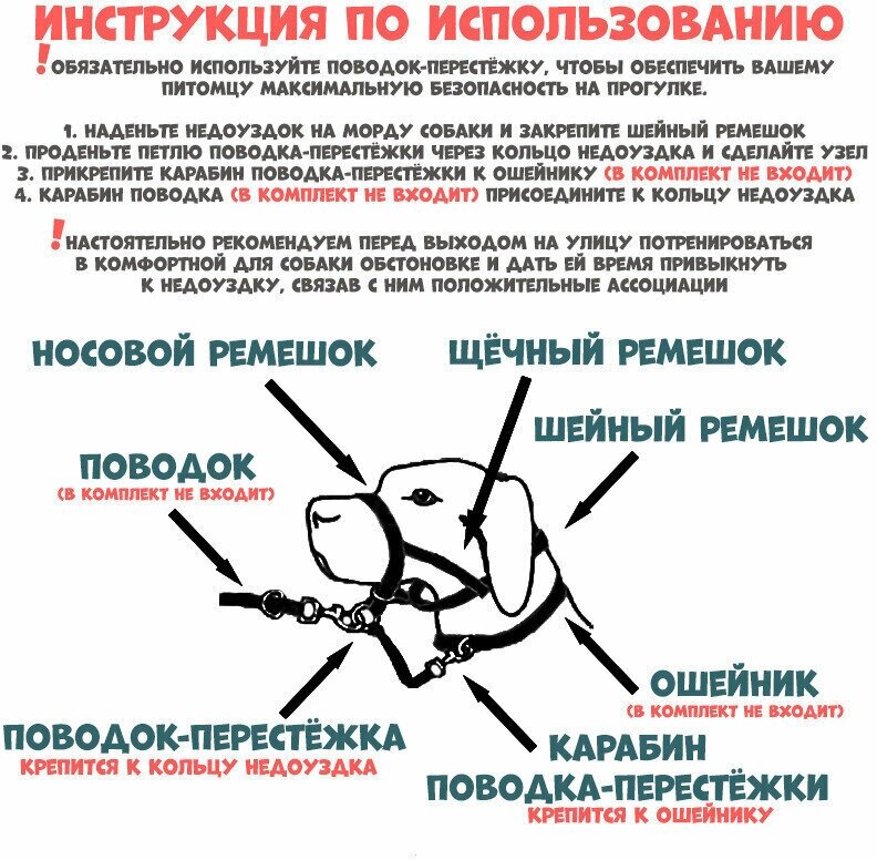 Халти, Недоуздок для собак с поводком-перестежкой, M, обхват шеи 33-41 см, синий - фотография № 4