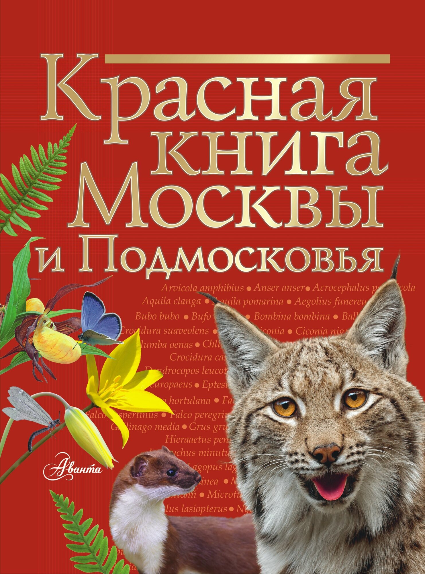 Красная книга Москвы и Подмосковья Молюков М. И.