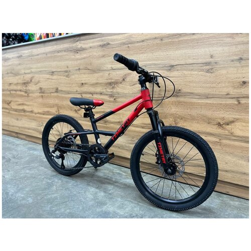 Велосипед TIME TRY TT086 1499000₽