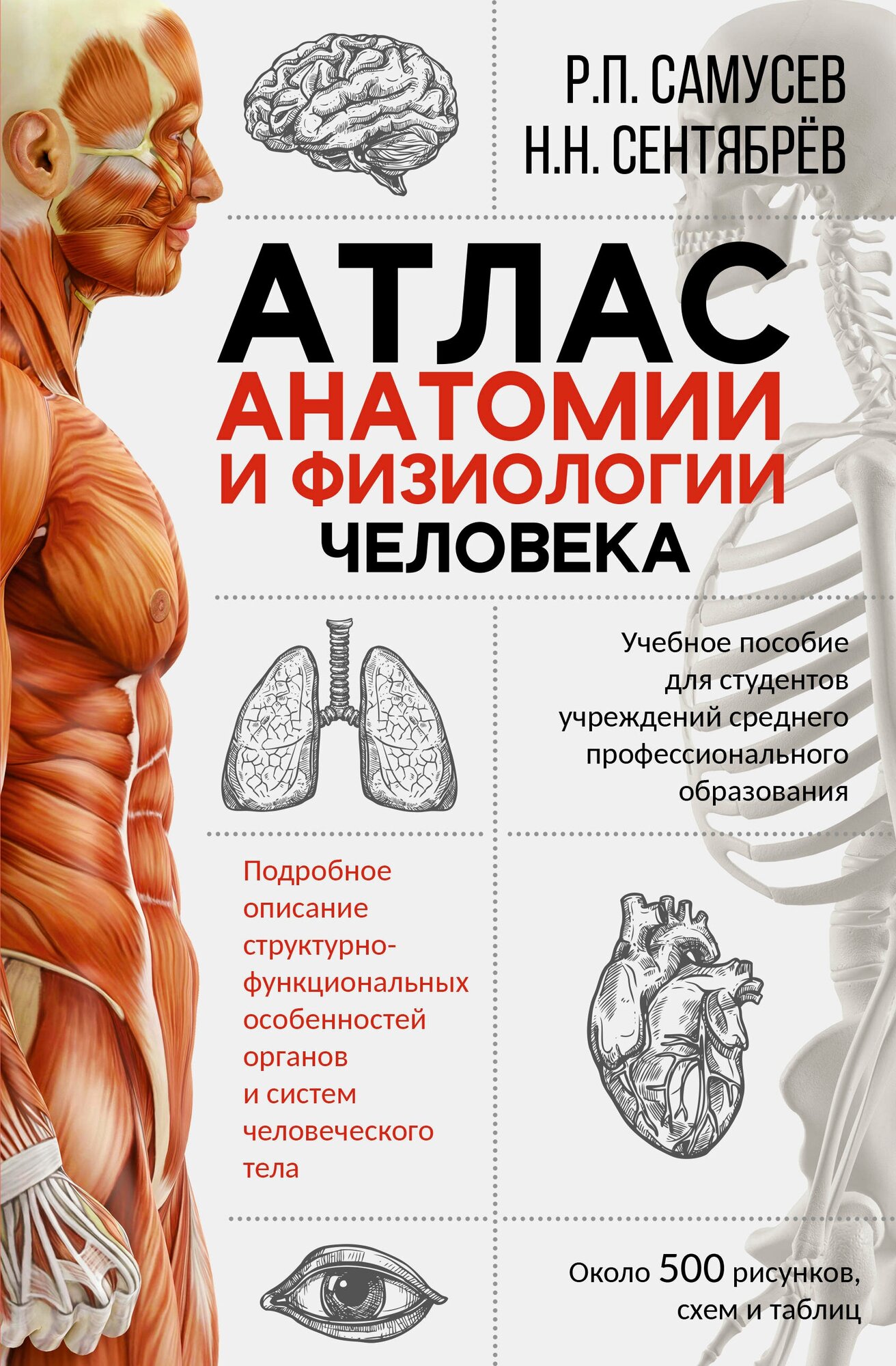 Книга АСТ "Атлас анатомии и физиологии человека. Учебное пособие для студентов учреждений среднего профессионального образования" Самусев Р. П, Сентябрев Н. Н.