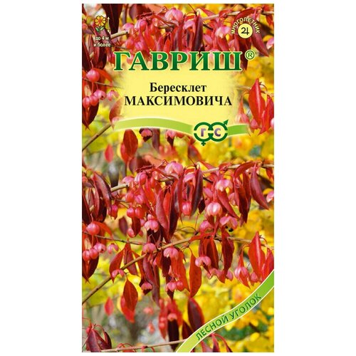 Семена Бересклет Максимовича 0,2 г (Гавриш) семена бересклет максимовича 0 2 г гавриш