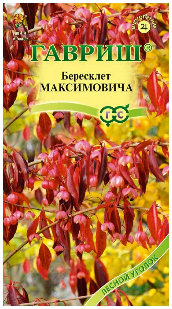 Семена Бересклет Максимовича 02 г (Гавриш)