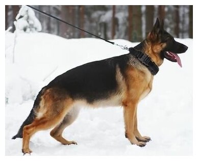 Ошейник для собак крупных и средних пород и поводок для собак; тактический, усиленный, для дрессировки, черный XL - фотография № 11